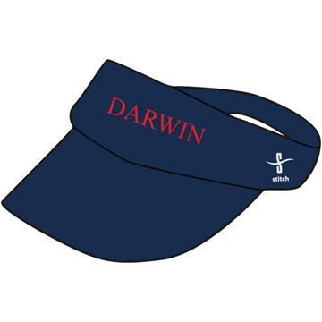 Darwin College Visor